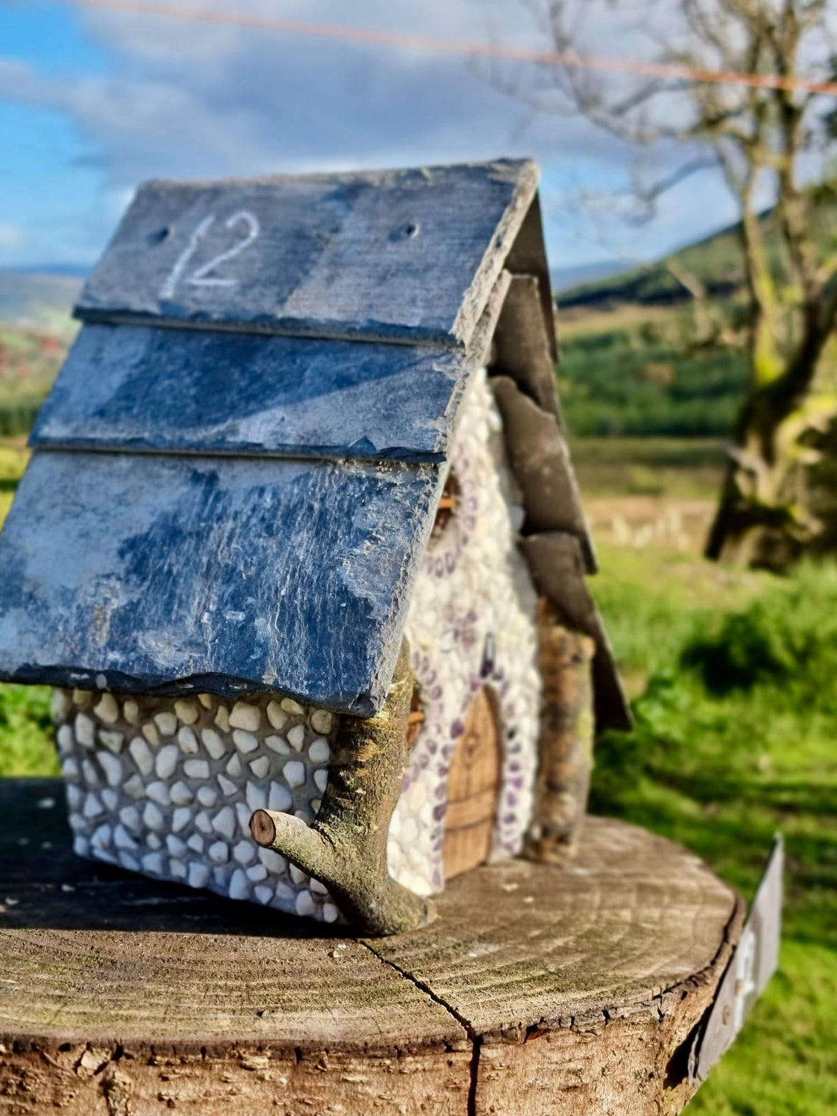 Amethystwing Faerie House 🦋💜