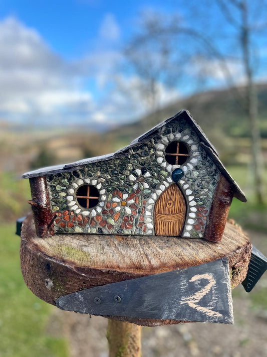 'Double Daisy' 💚 Faerie House